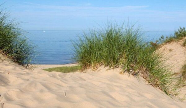 Quanto costa all’ambiente avere spiagge “spianate” per i nostri ombrelloni