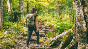 sentiero trekking bosco con donna che cammina