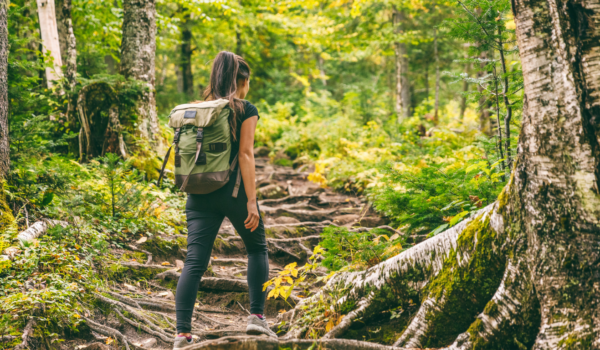 I sentieri per fare trekking disturbano orsi e lupi più del previsto